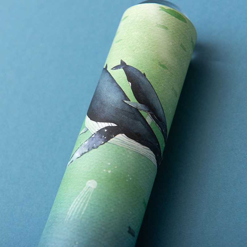 <p>Calidoscopi de balenes</p>